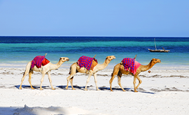 djerba
